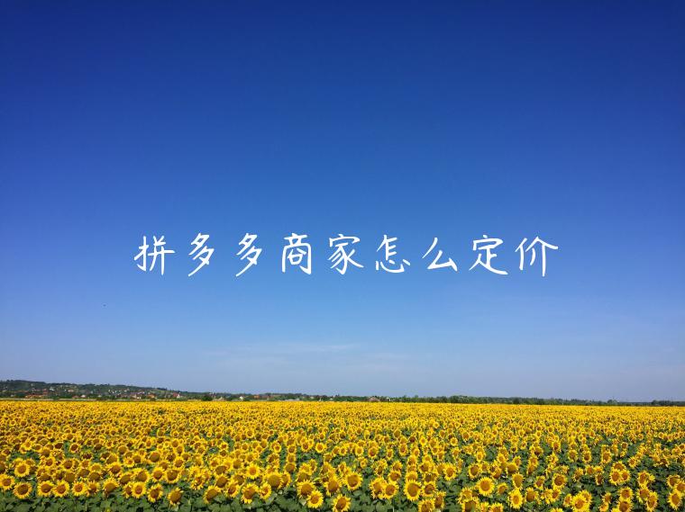 拼多多商家怎么定價(jià)